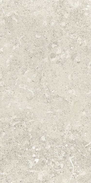 Sea Luster Avorio Matte 12 x 24